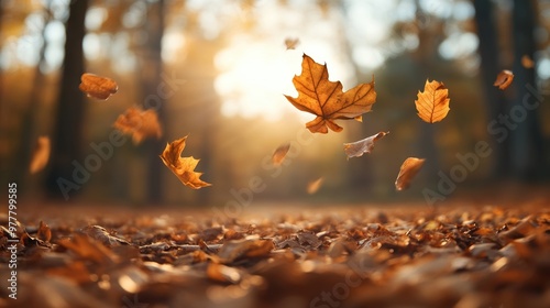 A serene autumn scene with golden leaves falling gently against a blurred forest backdrop and warm sunlight peeking through.