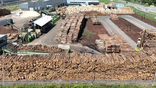 Wood sawmill, machinery for processing wood. Processing plant. A worker operating loader, modern wood processing factory, load freshly cut logs onto the production line for processing, manufacturing.