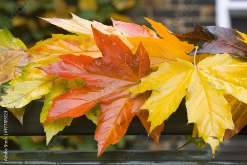 A Photography of A stack of colorful fallen leaves, ready for children to jump into, inviting playful autumn activiti photo