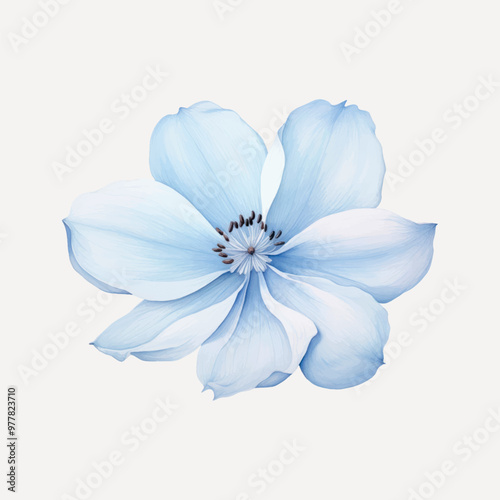 Delicate blue flower illustration