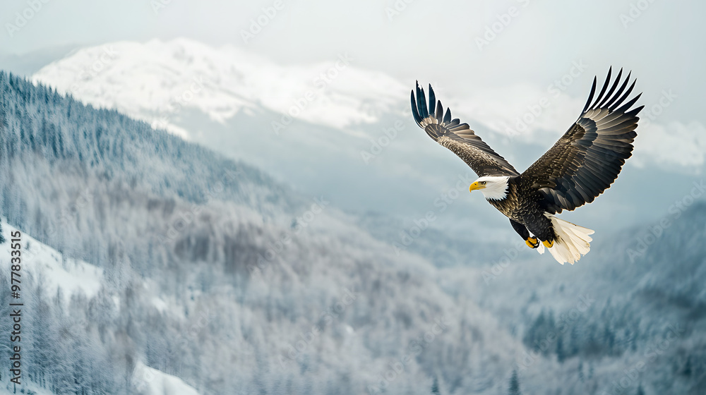 Fototapeta premium A majestic eagle soaring through a snowy sky with mountains and forests below covered in white.