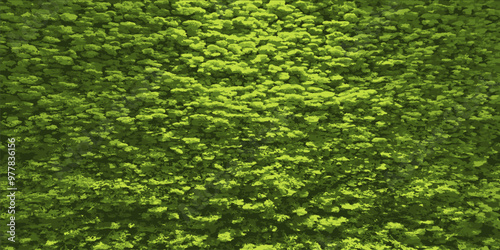 Green tree crown. Green plant background of deciduous tree. Vector illustration