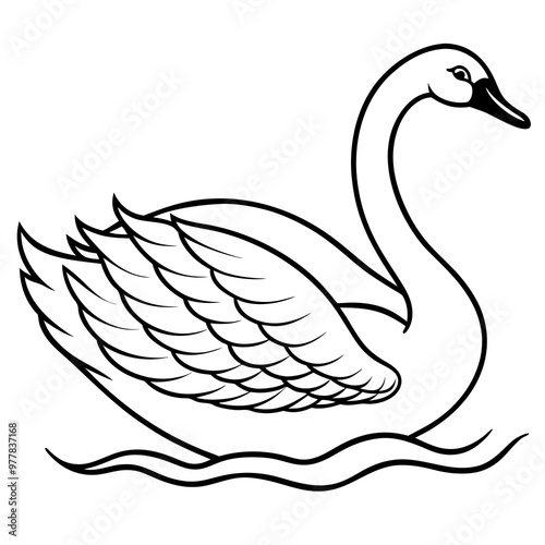 Swan gliding on water with detailed feather patterns and graceful lines vecto