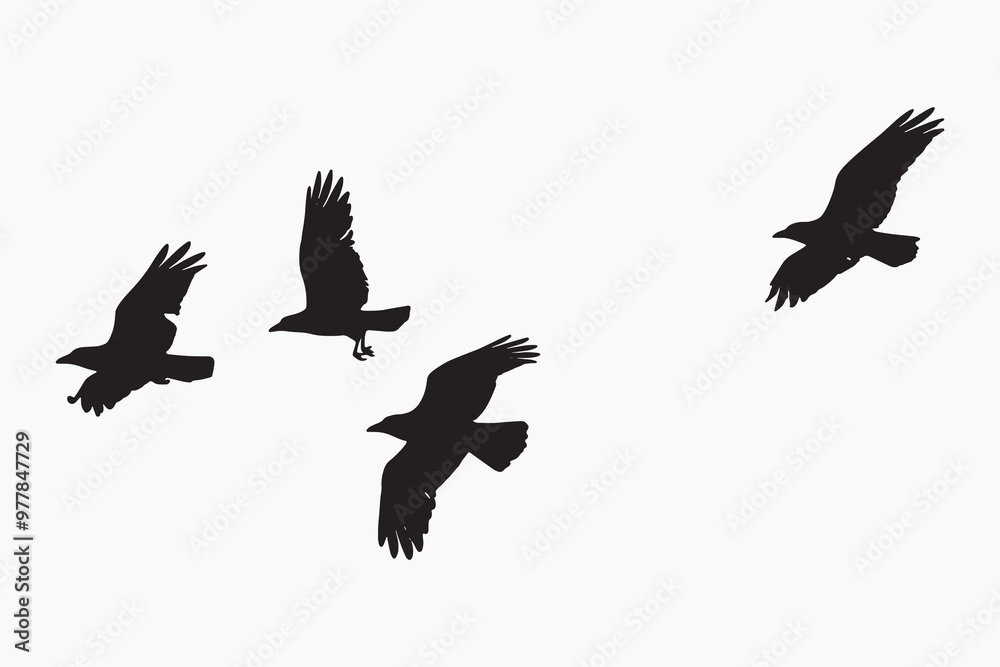 Obraz premium Silhouetted birds in flight