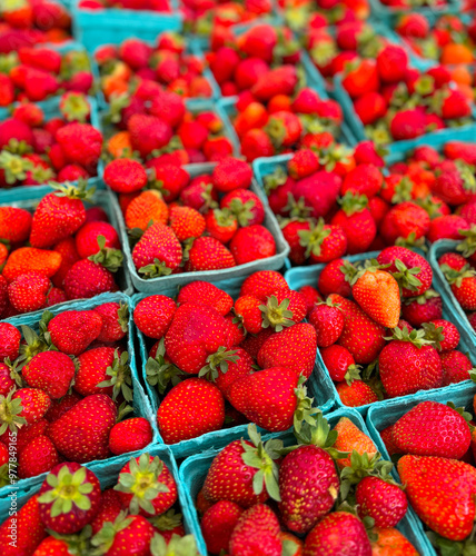 Baskets of ripe strawberries for sale at a farmer's market photo