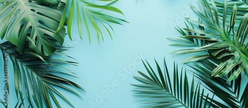 Tropical palm leaves on a light blue backdrop Minimalist nature Summer inspired Flat lay The image measures approximately 5500 x 3600 pixels. Copy space image. Place for adding text and design photo