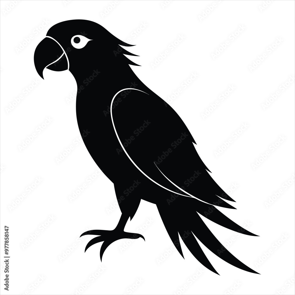 Fototapeta premium parrot silhouette vector
