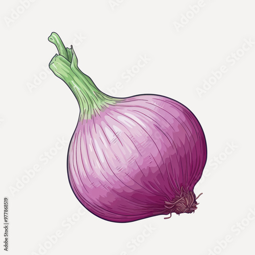 Detailed illustration of purple onion