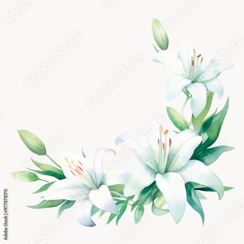 Elegant watercolor white lilies