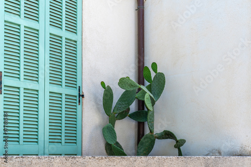 Kaktus vor Hauswand eines Hauses aus Stein mit Fenster und Tür in türkisen Farben Klappläden in Artà In Mallorca Spanien photo