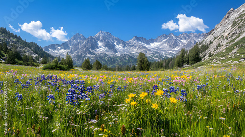 A peaceful alpine meadow filled with blooming wildflowers with towering snow-capped mountains in the background under a bright blue sky. photo