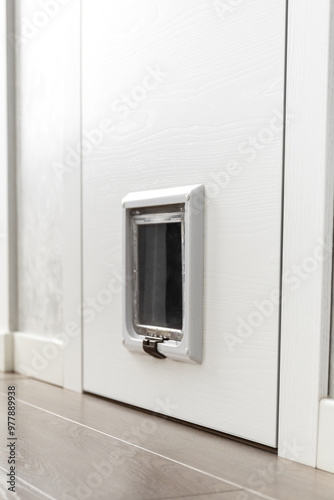 Door for pets in the interior of the apartment, house. photo