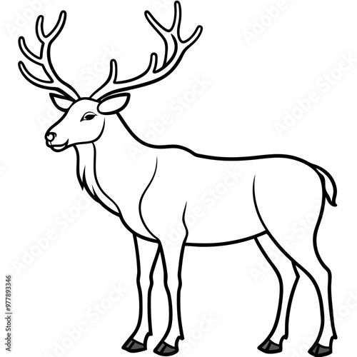 Elk with large, branching antlers and a proud stance line art vector