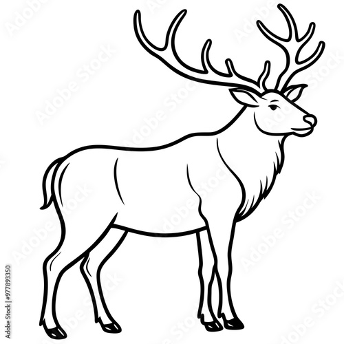 Elk with large, branching antlers and a proud stance line art vector