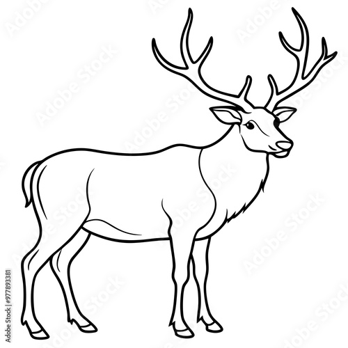 Elk with large, branching antlers and a proud stance line art vector