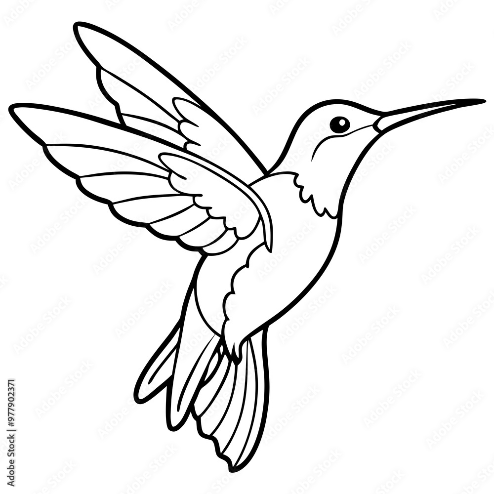 Hummingbird hovering with detailed wings and a delicate beak line art vector Hummingbird hovering with detailed wings and a delicate beak line art vector