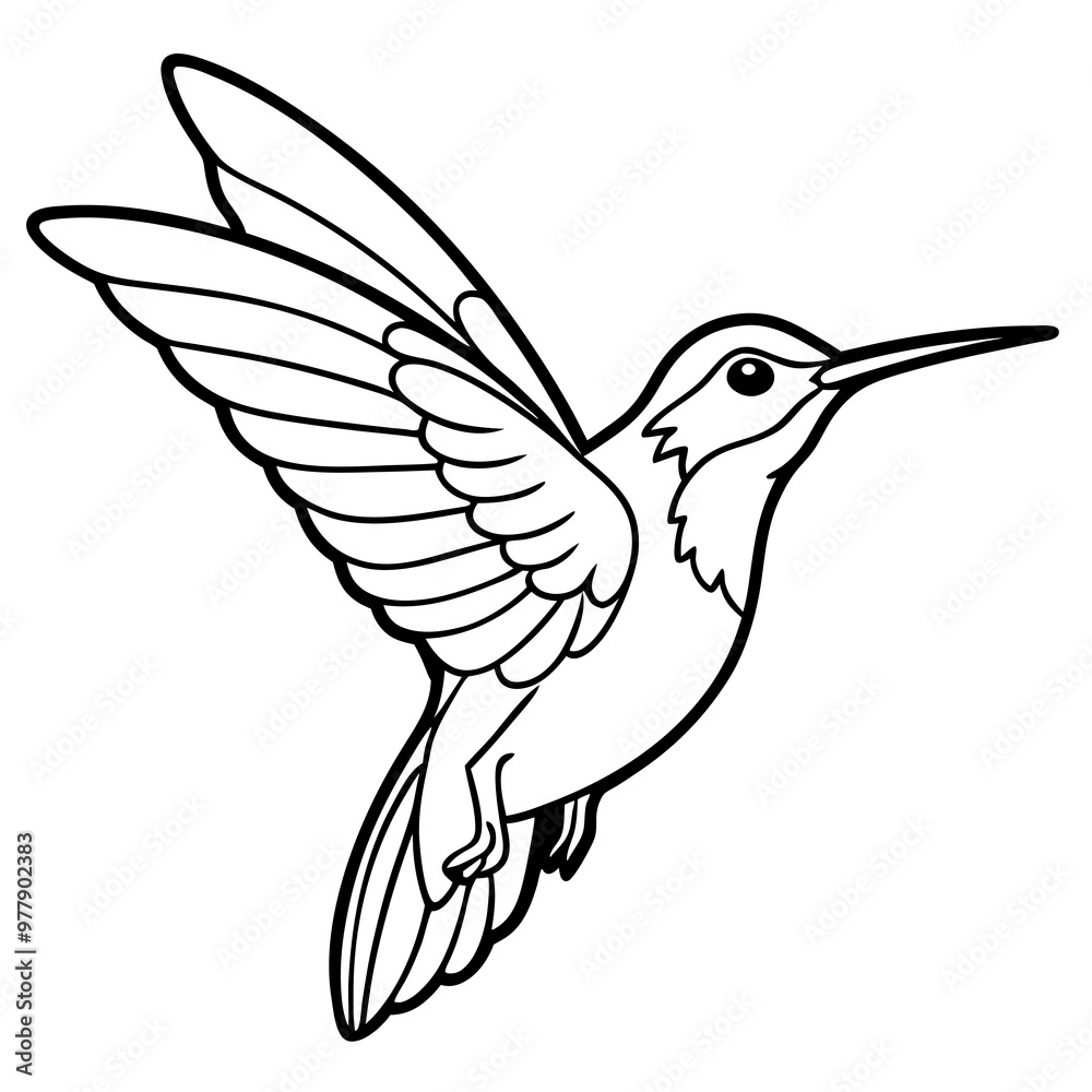 Hummingbird hovering with detailed wings and a delicate beak line art vector Hummingbird hovering with detailed wings and a delicate beak line art vector