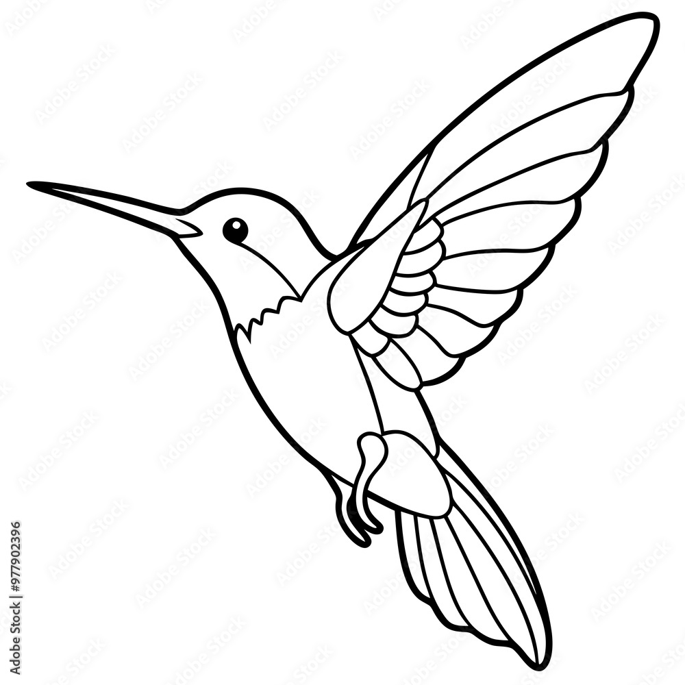 Hummingbird hovering with detailed wings and a delicate beak line art vector Hummingbird hovering with detailed wings and a delicate beak line art vector