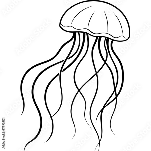 Jellyfish with flowing tentacles and a delicate, translucent form vector