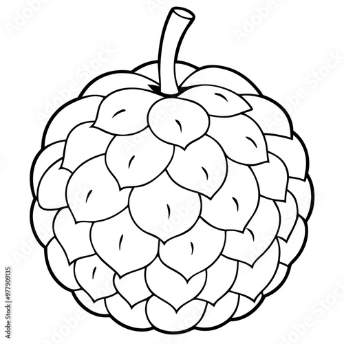 A white colored drawing of a custard apple with a stem. The fruit is a small, round, and fuzzy looking fruit with a stem