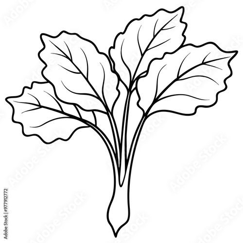 A leafy rhubarb vegetable with a stem. The stem is thin and the leaves are large. The image is in black and white