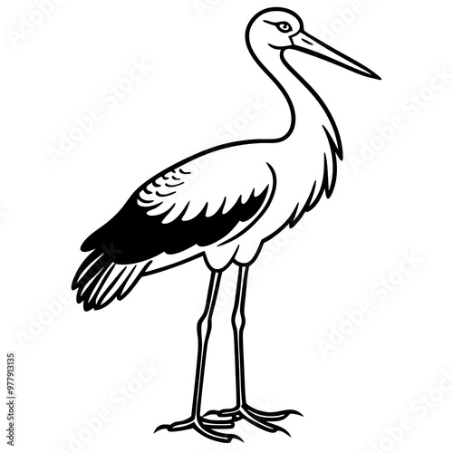 Stork standing on one leg, with long, slender legs and a beak vector