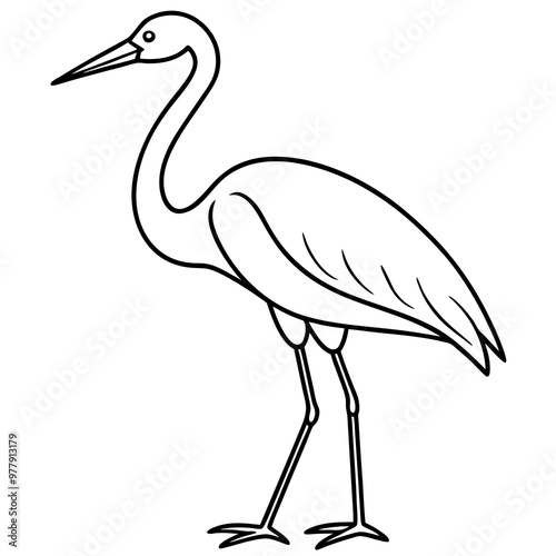 Stork standing on one leg, with long, slender legs and a beak vector