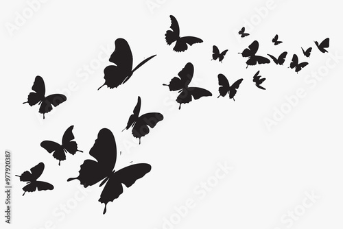 Silhouette butterflies in flight pattern