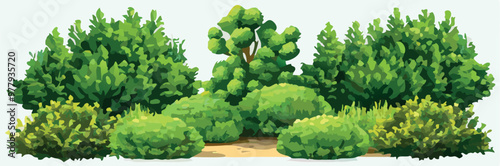 Lush green bushes and trees forming a forest bordering a dirt path