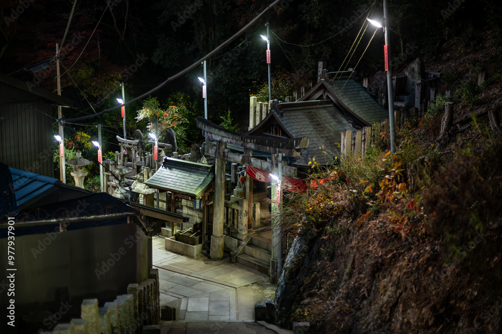 Obraz premium Traditional Japanese shrine pathway illuminated at night