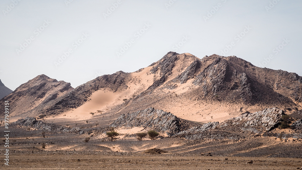 The landscape of Erg Chebbi in Morocco The landscape of Erg Chebbi in Morocco