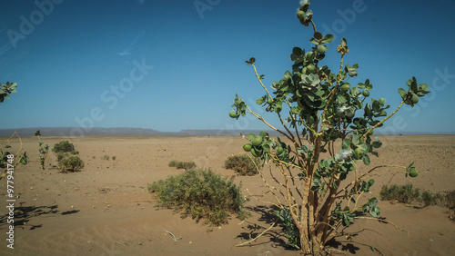 The Sahara Desert en route to Erg Chigaga in Morocco photo