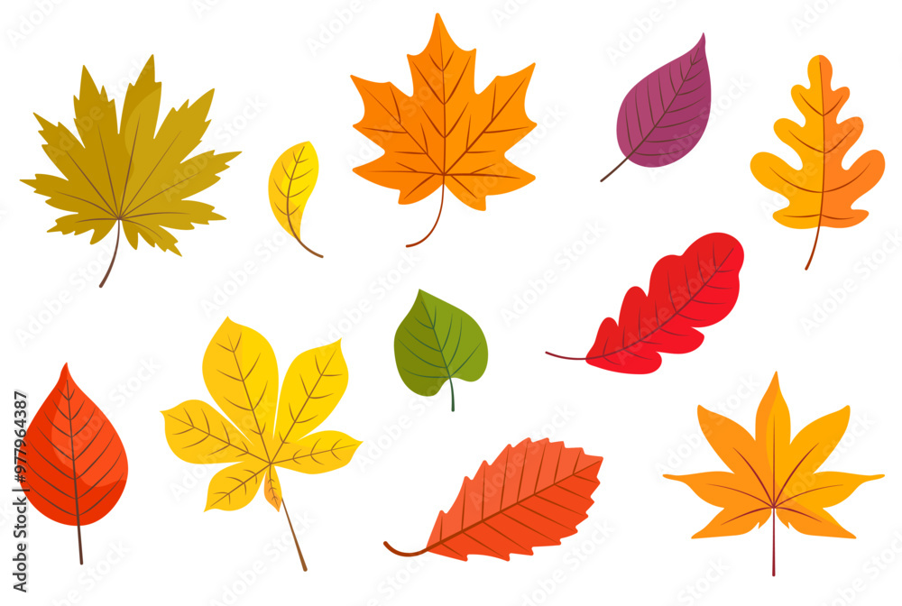 Obraz premium Autumn leaves collection in bright colors: yellow, red, orange, and green. Vector illustration. Isolated on white background