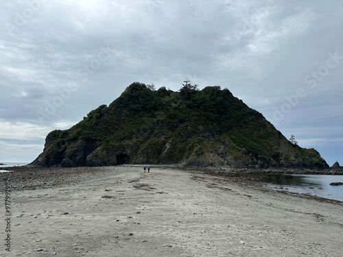 beach waves along the rocks of the coastal shoreline of Olympic National Park at Giant's Graveyard