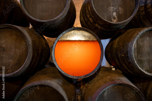 Flor, film of yeast in solera system in old Andalusian wine cellar, process for aging sherry wine in barrels, jerez fortified wine, Sanlucar de Barrameda, Cadiz, Andalusia, Spain photo