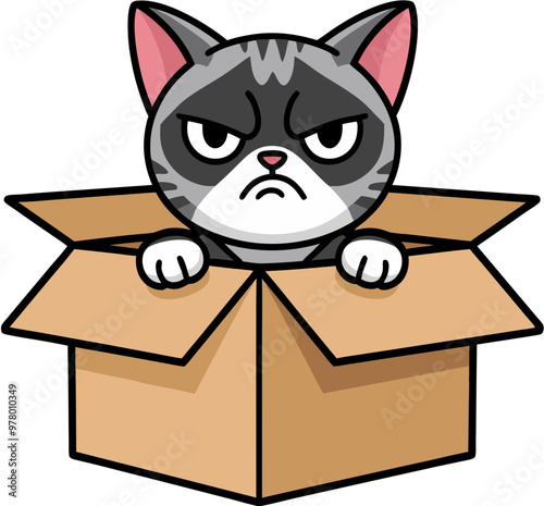 Angry Cat in Cardboard Box Vector Illustration for Social Media and Pet-Themed Content