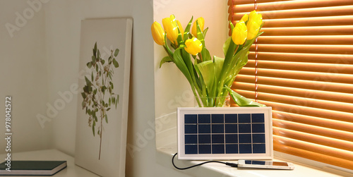 Portable solar panel chargi...