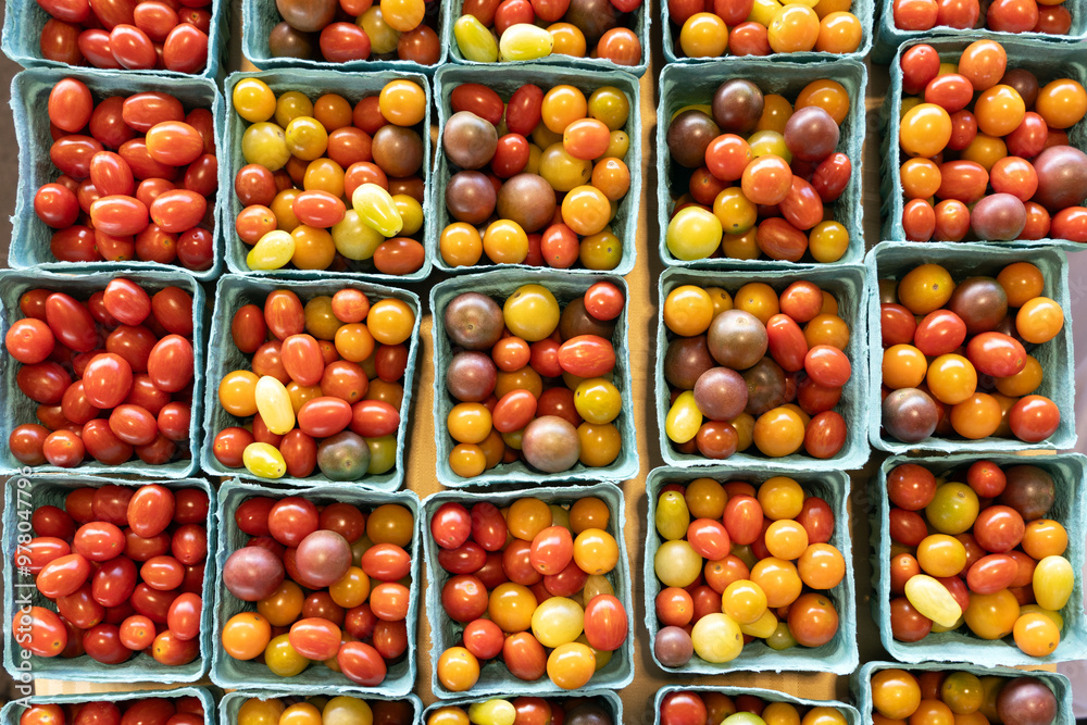 Multicolor small tomatoes in square basket at local farmer market Multicolor small tomatoes in square basket at local farmer market