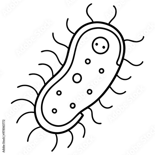 Bacteria