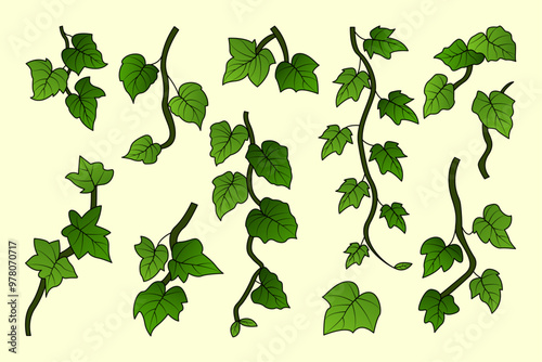 Minimalist Hand Drawn Flower Set – Botanical Illustration of Ivy Stems and Leaves for Floral Design, Wedding Invitations, and Home Decor