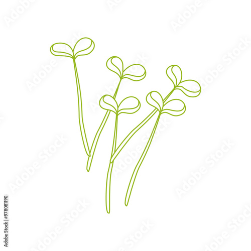 Line art of microgreen sprouts isolated on white background.