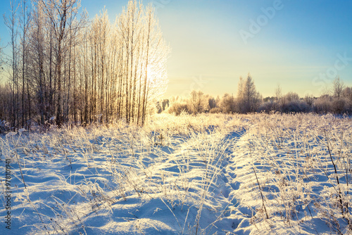 Beautiful snowy winter landscape with forest and sun. Winter sunset in forest...