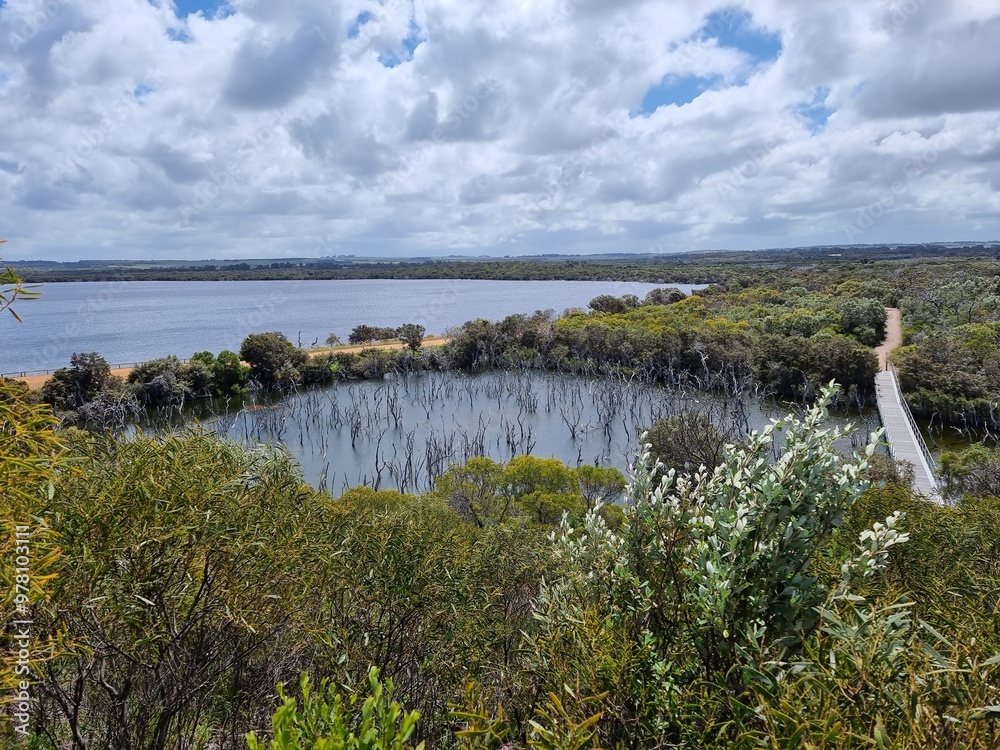 Obraz premium Woody Lake in Esperance, Western Australia