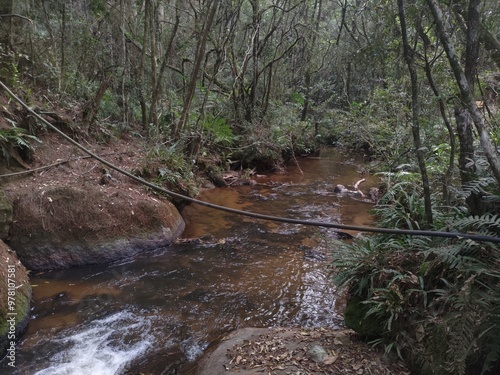 Running water of a small river in the middle of the forest