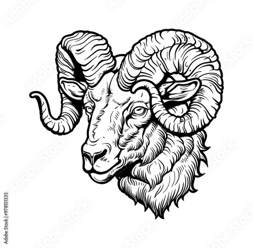 ram head engraving black and white outline, good quality