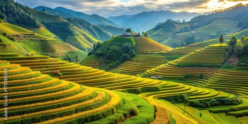 Stunning view of Mu Cang Chai terraced rice field in Vietnam , Vietnam, Mu Cang Chai, Sapa, Yen Bai, agriculture photo