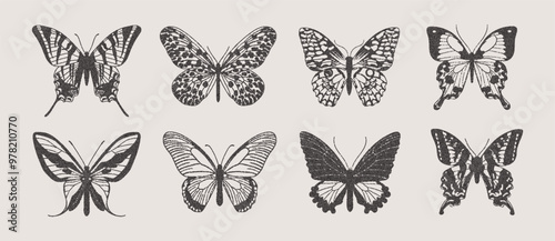 Collection of butterflies with retro photocopy effect. Trendy moths for collage with grunge dotted texture. 
