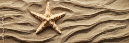 A starfish rests on textured sand, showcasing a serene beach atmosphere. photo