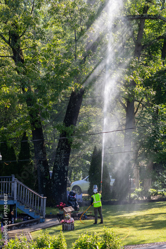 Landscape worker spraying tall trees for Spongy Moth, Lymantria dispar, on a late spring day in NJ photo