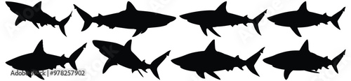 Shark silhouette set vector design big pack of fish illustration and icon